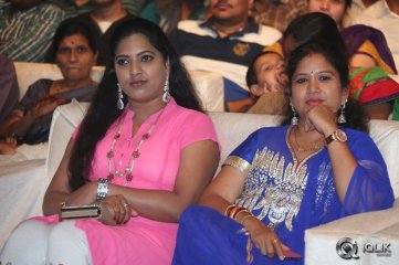 Nee Jathaga Nenundali Movie Audio Launch